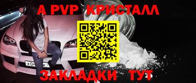 стафф Будённовск