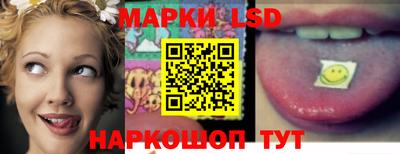 стафф Будённовск