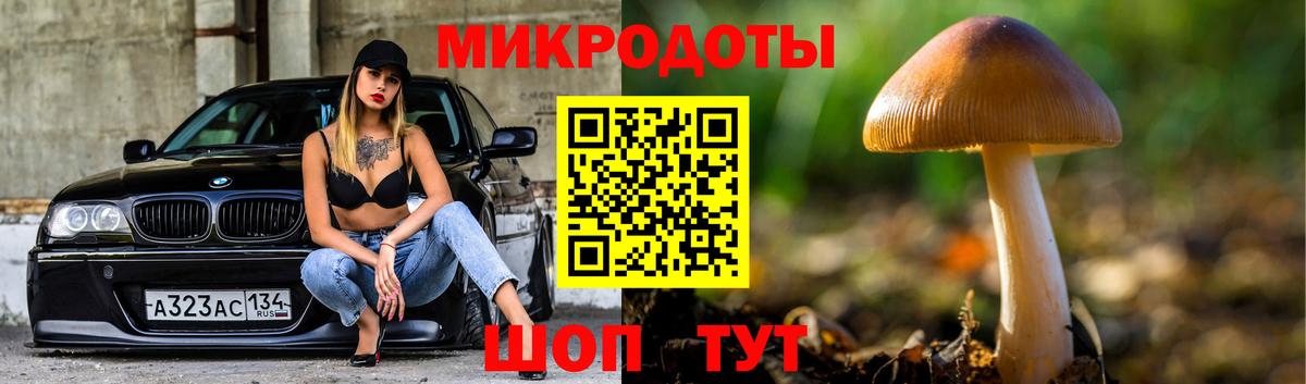 Псилоцибиновые грибы ЛСД  Вход с VPN  купить наркотики сайты  Ревда 