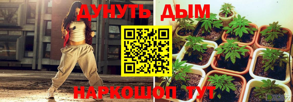 Каннабис конопля  Марихуана сатива  Ревда  Вход с VPN  Марихуана LSD WEED 